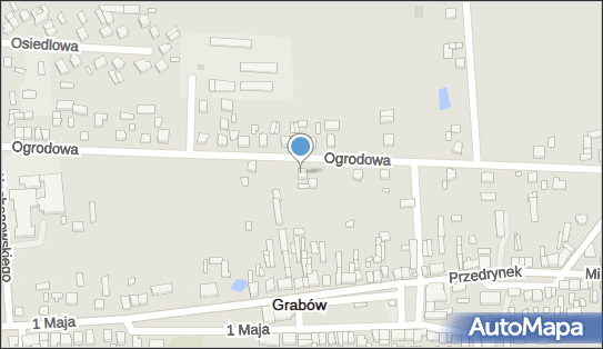 DI Wet Gabinet Weterynaryjny Tadeusz Jankowski Dionizy Borowski 99-150 - Weterynarz, numer telefonu, NIP: 6661214155