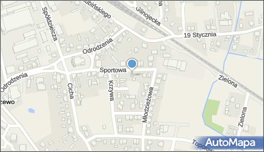 Dobrzyński Jarosław Gabinet Weterynaryjny -Dobrzyński Jarosław 09-130 - Weterynarz, NIP: 5671056668