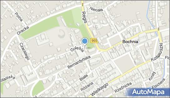 8681741686, Dominik Basiński Gabinet Weterynaryjny 