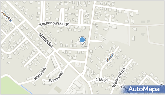 9532417633, Gabinet Weterynaryjny Joanna Kryszewska-Lizoń 