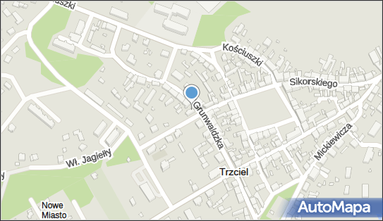 Gabinet Weterynaryjny, Grunwaldzka 20, Trzciel 66-320 - Weterynarz, numer telefonu, NIP: 6251626504