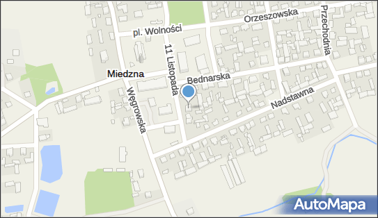 8241361531, Jan Onaszkiewicz Gabinet Weterynaryjny 