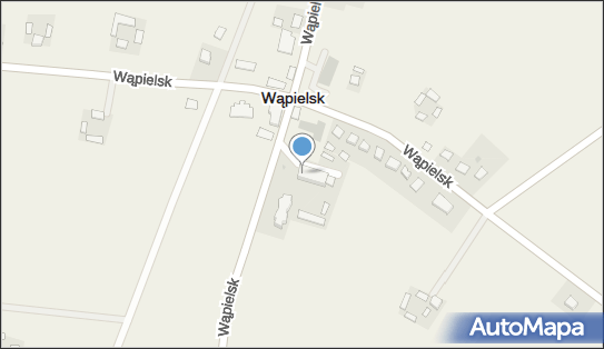 Janusz Kwidzyński - Gabinet Weterynaryjny, Wąpielsk 138A 87-337 - Weterynarz, NIP: 8781066907