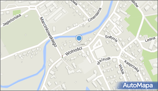 Jelwet - Mariusz Godoń, Wolności 222, Jelenia Góra 58-560 - Weterynarz, numer telefonu