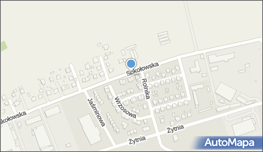 Kopeć Sylwester Gabinet Weterynaryjny, ul. Sokołowska 22 36-100 - Weterynarz, NIP: 8141009036