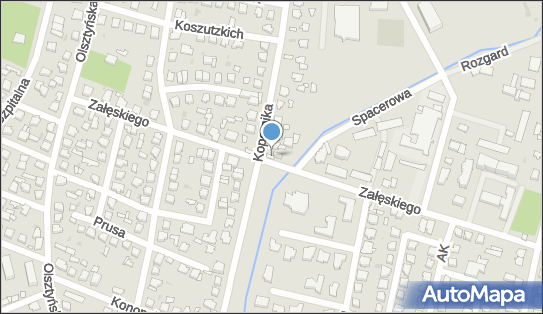 5691835513, Małgorzata Chmielińska Centrum Weterynaryjne Centaur 
