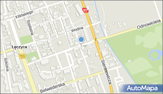 MasterVet, Kazimierza Odnowiciela 4, Łęczyca 99-100 - Weterynarz, numer telefonu