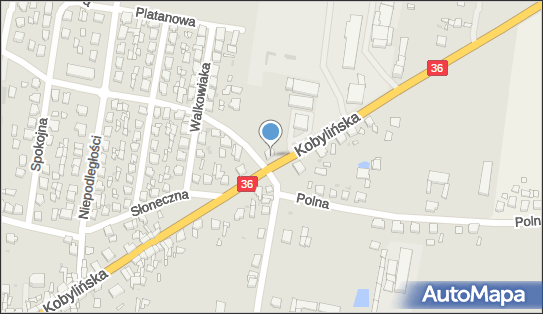 932002598, Prywatna Praktyka Weterynaryjna Jan Nawrocki 