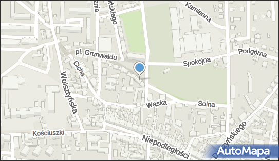 Przychodnia Weterynaryjna Bogdan Jaworski, Plac Grunwaldu 16 67-400 - Weterynarz, numer telefonu