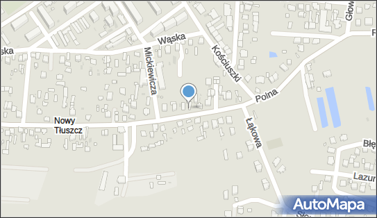 1250207665, Usługi Weterynaryjne Szymon Olszak 