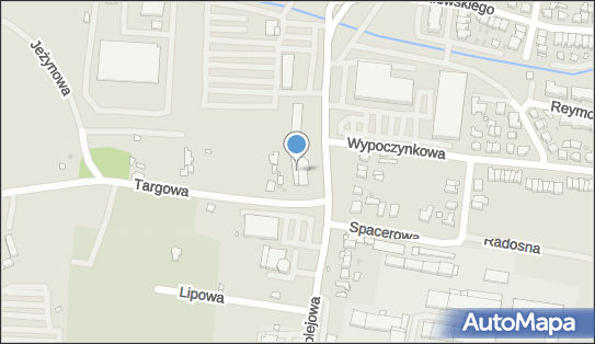 7881103642, Usługi Weterynaryjne Skrzypczak Paweł 