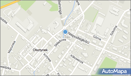 Weterynarz, Niepodległości 4, Olsztynek 11-015 - Weterynarz, godziny otwarcia, numer telefonu