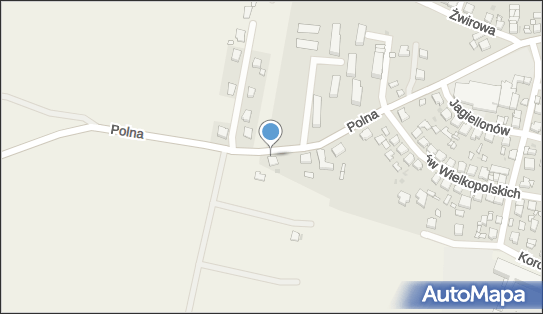 Weterynarz, Polna 16b, Raszków - Weterynarz