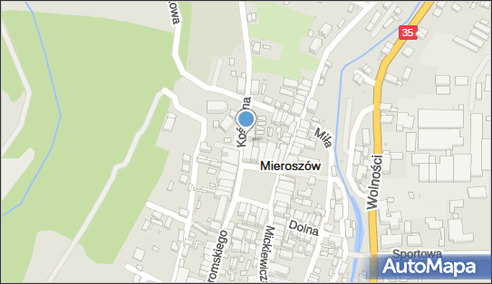 Weterynarz, Kościelna 1, Mieroszów 58-350 - Weterynarz