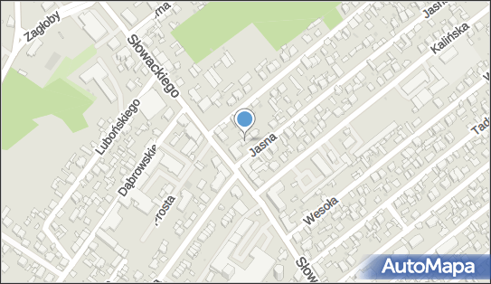 Weterynarz, Jasna 1a, Radom 26-604 - Weterynarz, godziny otwarcia, numer telefonu