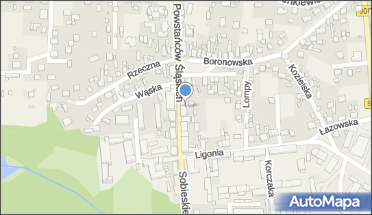 Weterynarz, Powstańców Śląskich 6, Koszęcin - Weterynarz