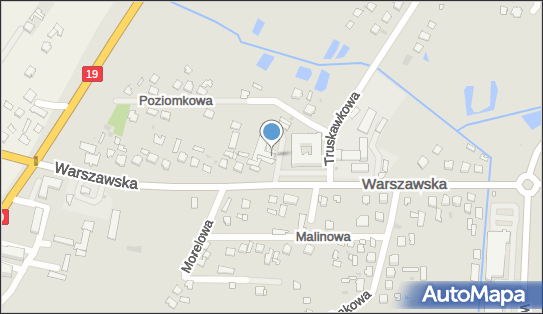 Zdziennicki Jerzy, Sych Andrzej, Warszawska 100, Radzyń Podlaski 21-300 - Weterynarz, godziny otwarcia, numer telefonu