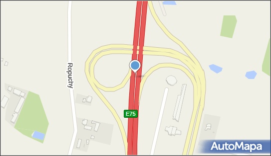 Węzeł 4 Pelplin, A1, DW229, E75, Ropuchy - Węzeł drogowy