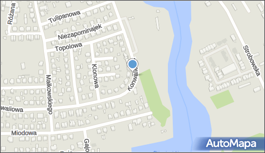Park Linowy SPIDER, Konwaliowa 24, Skierniewice 96-100 - Wspinaczka, Ściana, numer telefonu