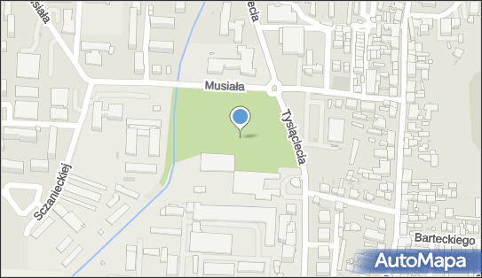PARK MIEJSKI, Tysiąclecia/ Musiała, Nowy Tomyśl - Wulkanizacja, Opony