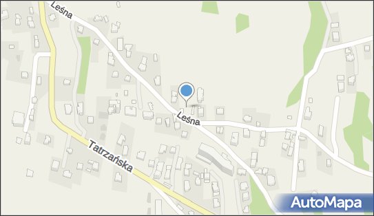 Wyciąg narciarski Ku dolinie, Leśna 19, Bukowina Tatrzańska 34-530 - Wyciąg narciarski, godziny otwarcia, numer telefonu