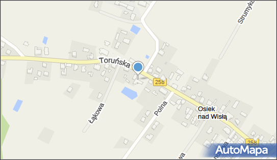 Żabka - Sklep, UL. TORUŃSKA 33/, Osiek nad Wisłą 87-125, godziny otwarcia