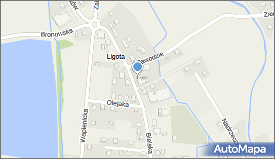Żabka - Sklep, UL. BIELSKA 13/, Ligota 43-518, godziny otwarcia