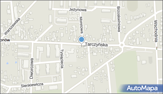 Żabka - Sklep, UL. TARCZYŃSKA 30A/, Mszczonów 96-320, godziny otwarcia