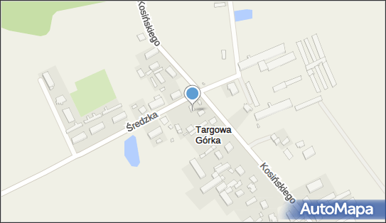 Zabytek sakralny, Średzka 5, Targowa Górka 62-308 - Zabytek sakralny