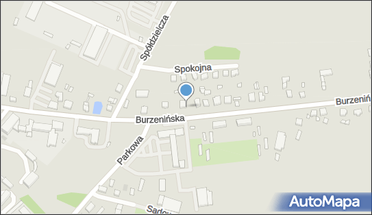 Art Studio, Burzenińska 29, Złoczew - Zakład fotograficzny