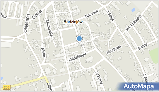Zakład fotograficzny, Rynek 4, Radziejów 88-200 - Zakład fotograficzny