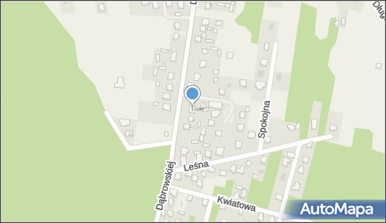 017506976, Usługi Krawieckie Wyrób Odzieży, Handel Art.Przemysłowymi Hanna Krzemińska 