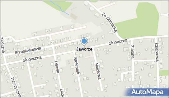 5470242499, Zakład Krawiecki 