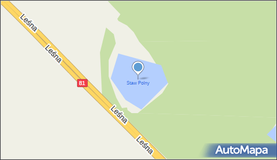staw Polny, Leśna, Pawłowice 43-250 - Zbiornik wodny