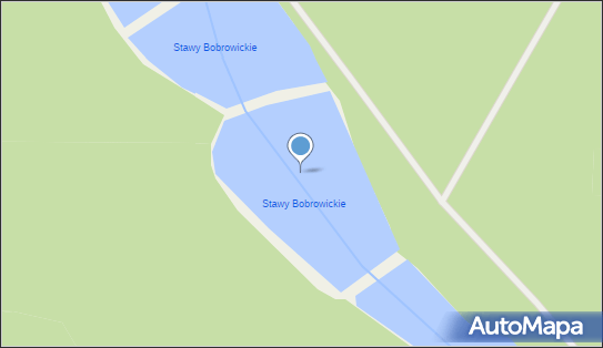 Stawy Bobrowieckie, Śliwnik - Zbiornik wodny