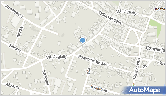 Potocki A., Władysława Jagiełły 29, Pobiedziska 62-010 - Zoologiczny - Sklep, godziny otwarcia, numer telefonu