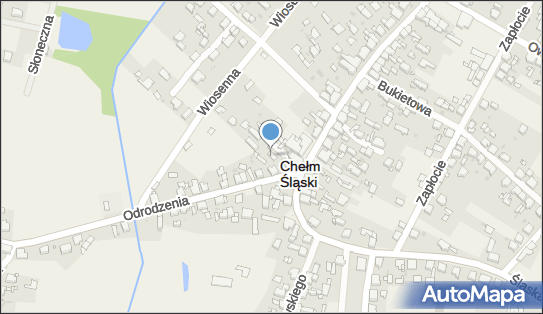 Och My Dog, Odrodzenia 10, Chełm Śląski 41-443 - Zwierzęta - Pielęgnacja, Strzyżenie, godziny otwarcia, numer telefonu