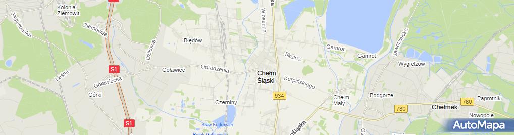 Delikatesy Centrum Sklep Ul śląska 98 Chełm śląski 41 403