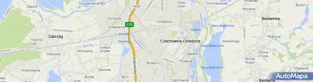 Passe Salon Fryzjerski Ul Klasztorna 1a Czechowice Dziedzice 43