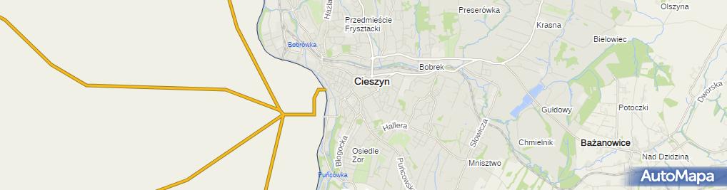 Studio Fryzjerskie Dori Ul Bielska 3b Cieszyn 43 400 Fryzjer