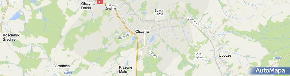 Zakład Fryzjerski Alicja Wrońska Golis 3 Maja 10b Olszyna 59 830