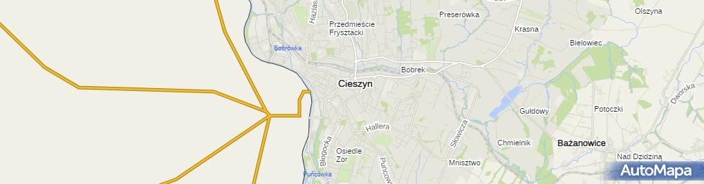 Zakład Fryzjerski Ul Bolesława Chrobrego 6 Cieszyn 43 400