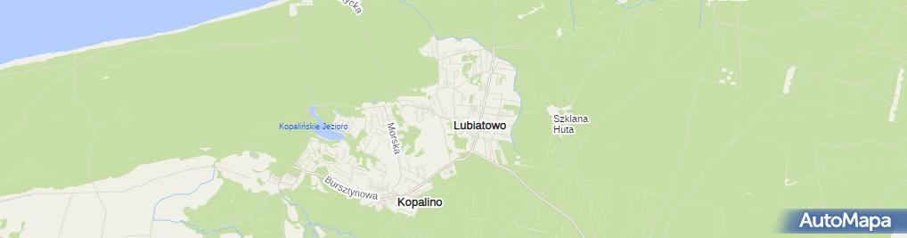 Lubiatowo (województwo pomorskie), Lubiatowo Inne