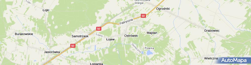 Ostrówek (powiat węgrowski), św. Jana Pawła II, Ostrówek 07132 Inne