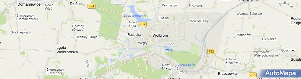 Urząd Miasta I Gminy Wolbrom Urząd Miasta i Gminy w Wolbromiu, Krakowska 1, Wolbrom 32-340 - Urząd