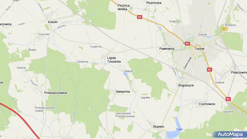 Zalesie (województwo śląskie), Zalesie, Boguszyce 44180 Inne