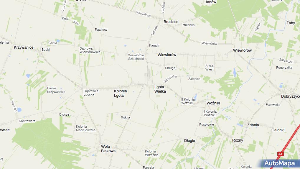 UP Lgota Wielka, Radomszczańska 60, Lgota Wielka 97565, godziny