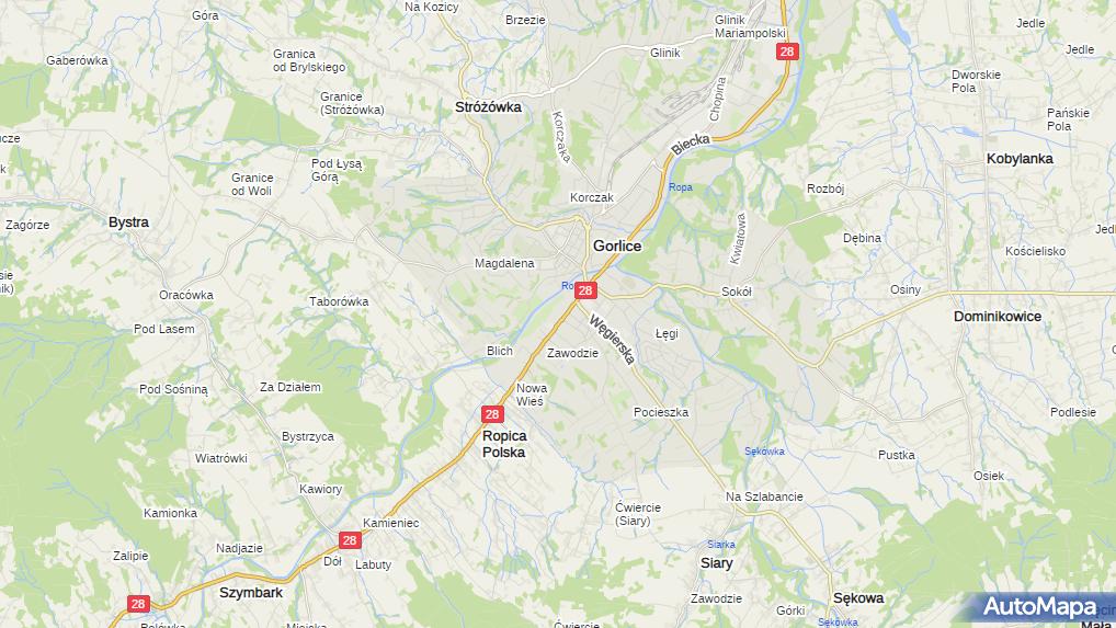 Adam Ptaszek Salon Psiej Urody Molto Bello Gorlice 38 300