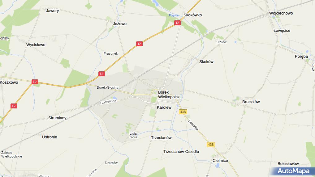 Gmina Borek Wielkopolski, Rynek 1, Borek Wielkopolski 63810