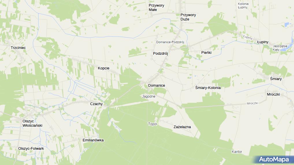 Gmina Domanice, Domanice 52, Domanice 08113 Przedsiębiorstwo, Firma